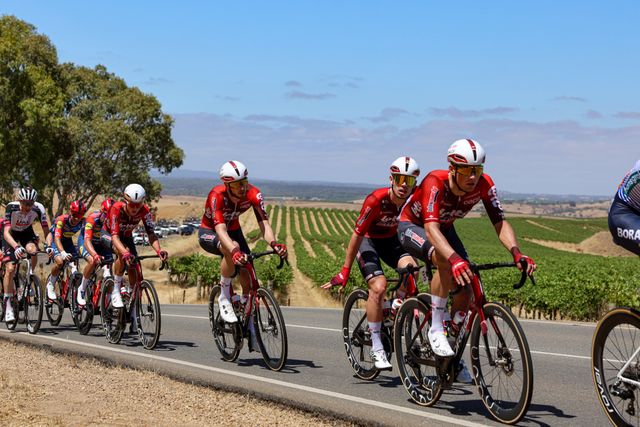 Lotto–Intermarché looks back on Tour Down Under with mixed, but positive feelings